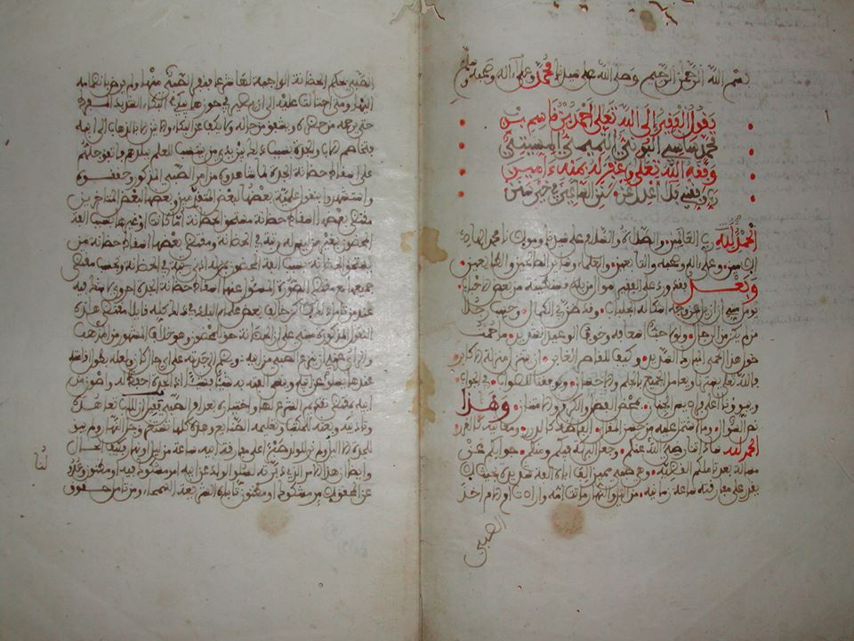 دراسات نقدية 