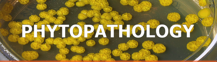 PLANT PATHOLOGY