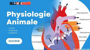 physiologie animale